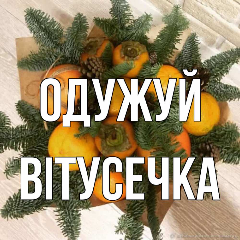 Открытка на каждый день з підписом, Вітусечка Одужуй апельсины и хурьма Прикольна листівка з побажанням онлайн скачати безкоштовно 