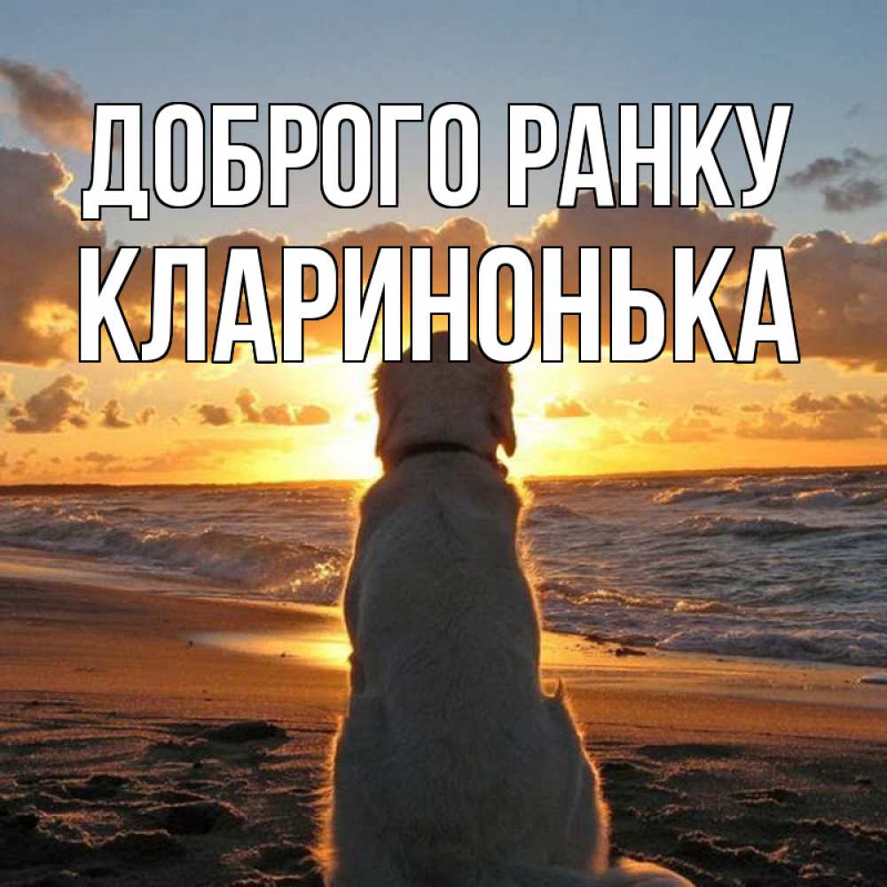 Открытка на каждый день з підписом, Кларинонька Доброго ранку восход солнца Прикольна листівка з побажанням онлайн скачати безкоштовно 