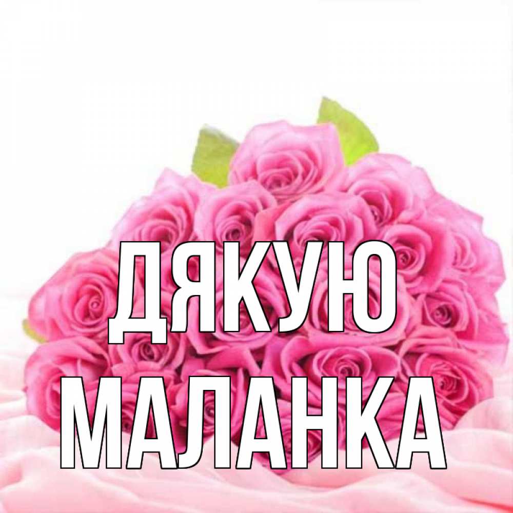 Открытка на каждый день з підписом, Маланка Дякую розовые розы с подписью Прикольна листівка з побажанням онлайн скачати безкоштовно 