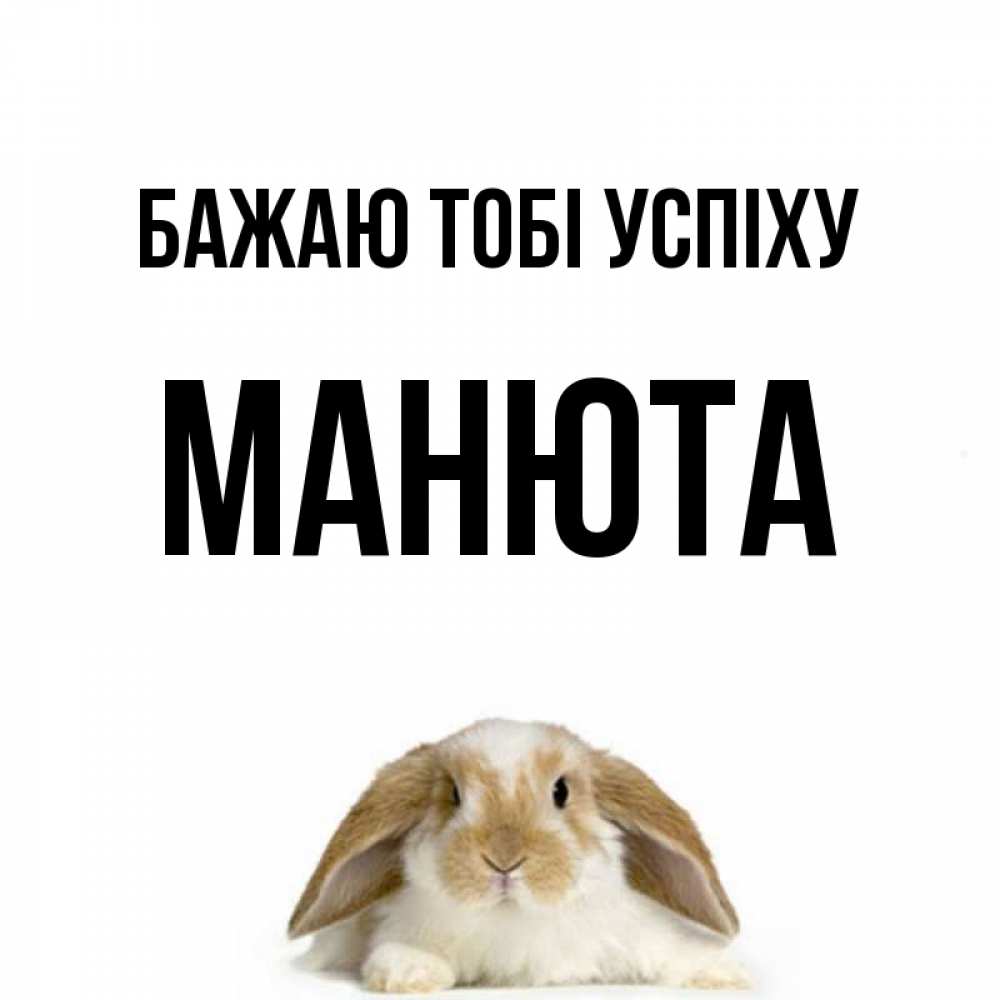 Открытка на каждый день з підписом, Манюта Бажаю тобі успіху открытки с произвольным текстом который можно вставить в открытку и создать ее самостоятельно бесплатно онлайн Прикольна листівка з побажанням онлайн скачати безкоштовно 