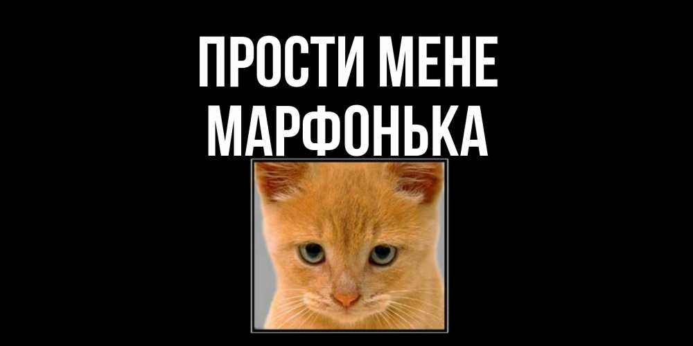 Открытка на каждый день з підписом, Марфонька Прости мене рыжий грустный кот просит прощения Прикольна листівка з побажанням онлайн скачати безкоштовно 