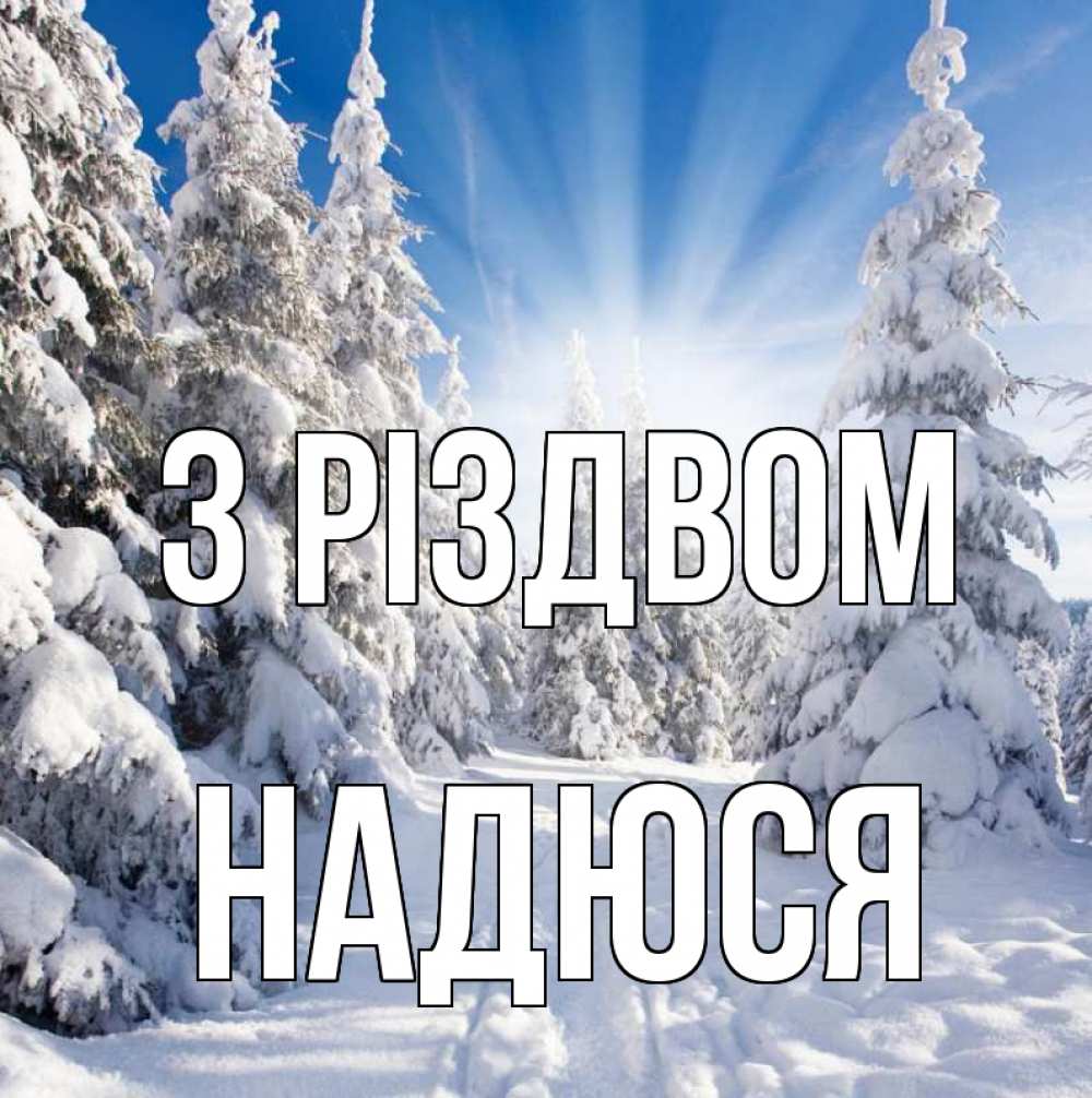 Открытка на каждый день з підписом, Надюся З Різдвом зима, лес Прикольна листівка з побажанням онлайн скачати безкоштовно 