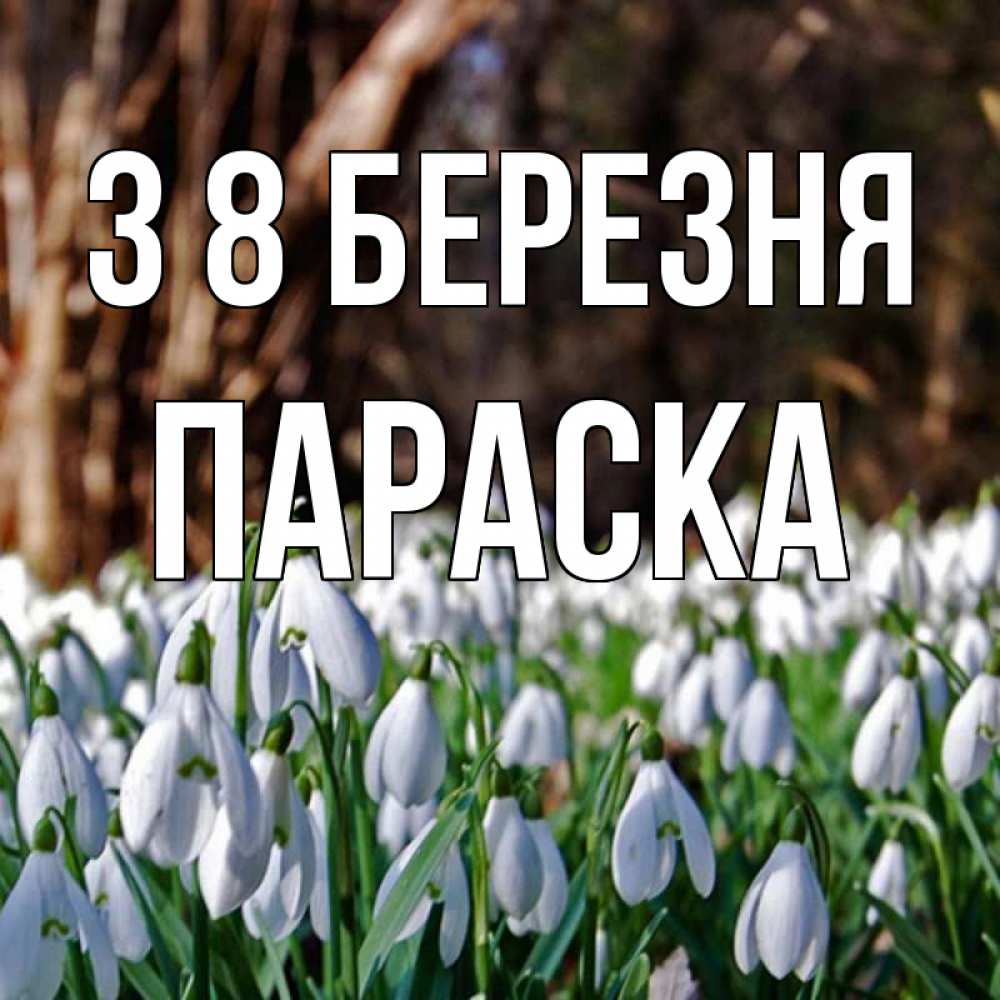 Открытка на каждый день з підписом, Параска З 8 БЕРЕЗНЯ с подснежниками 1 Прикольна листівка з побажанням онлайн скачати безкоштовно 