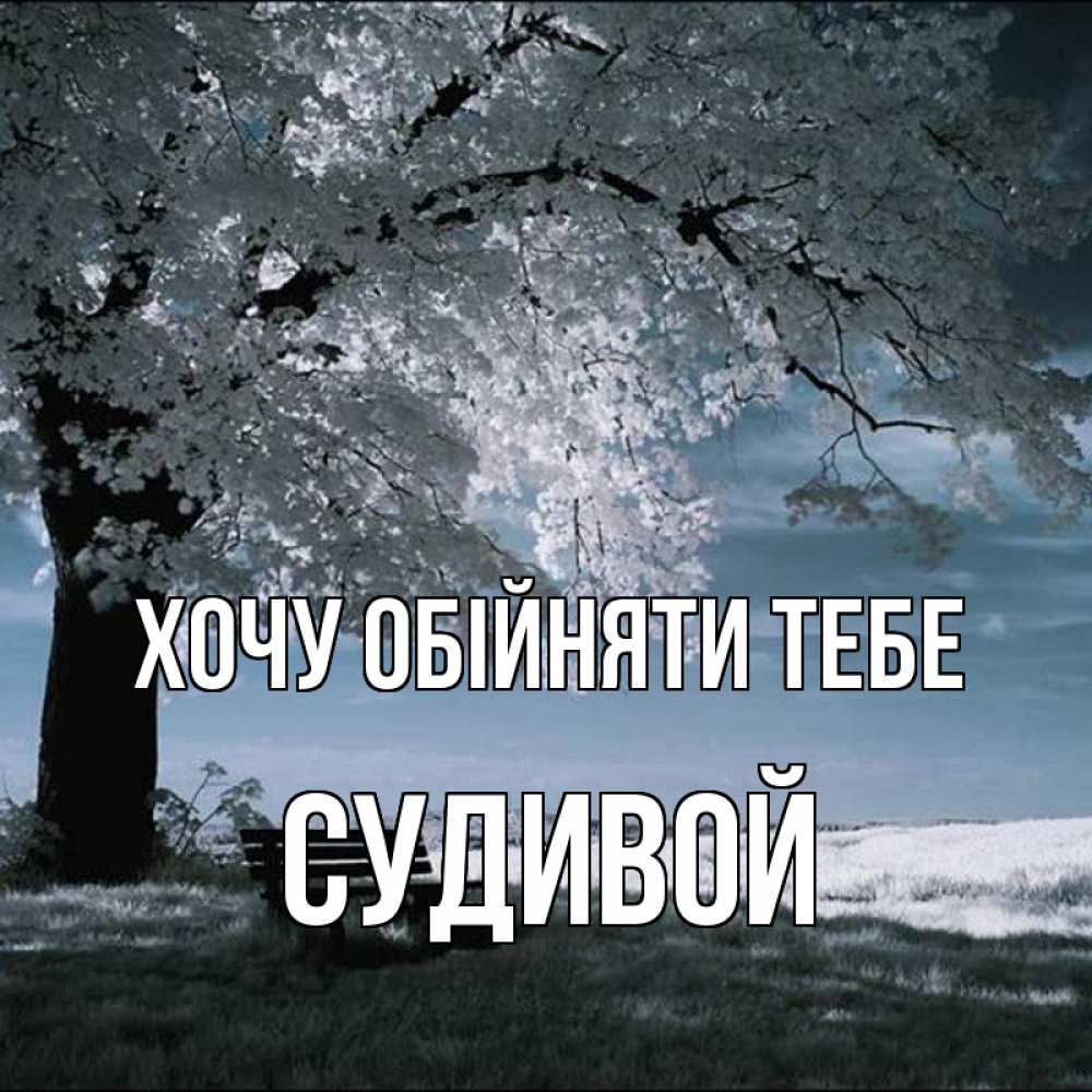 Открытка на каждый день з підписом, Судивой Хочу обійняти тебе дерево Прикольна листівка з побажанням онлайн скачати безкоштовно 