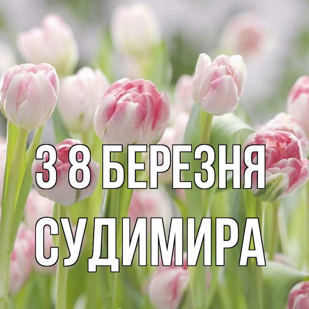 Открытка на каждый день з підписом, Судимира З 8 БЕРЕЗНЯ цветы Прикольна листівка з побажанням онлайн скачати безкоштовно 
