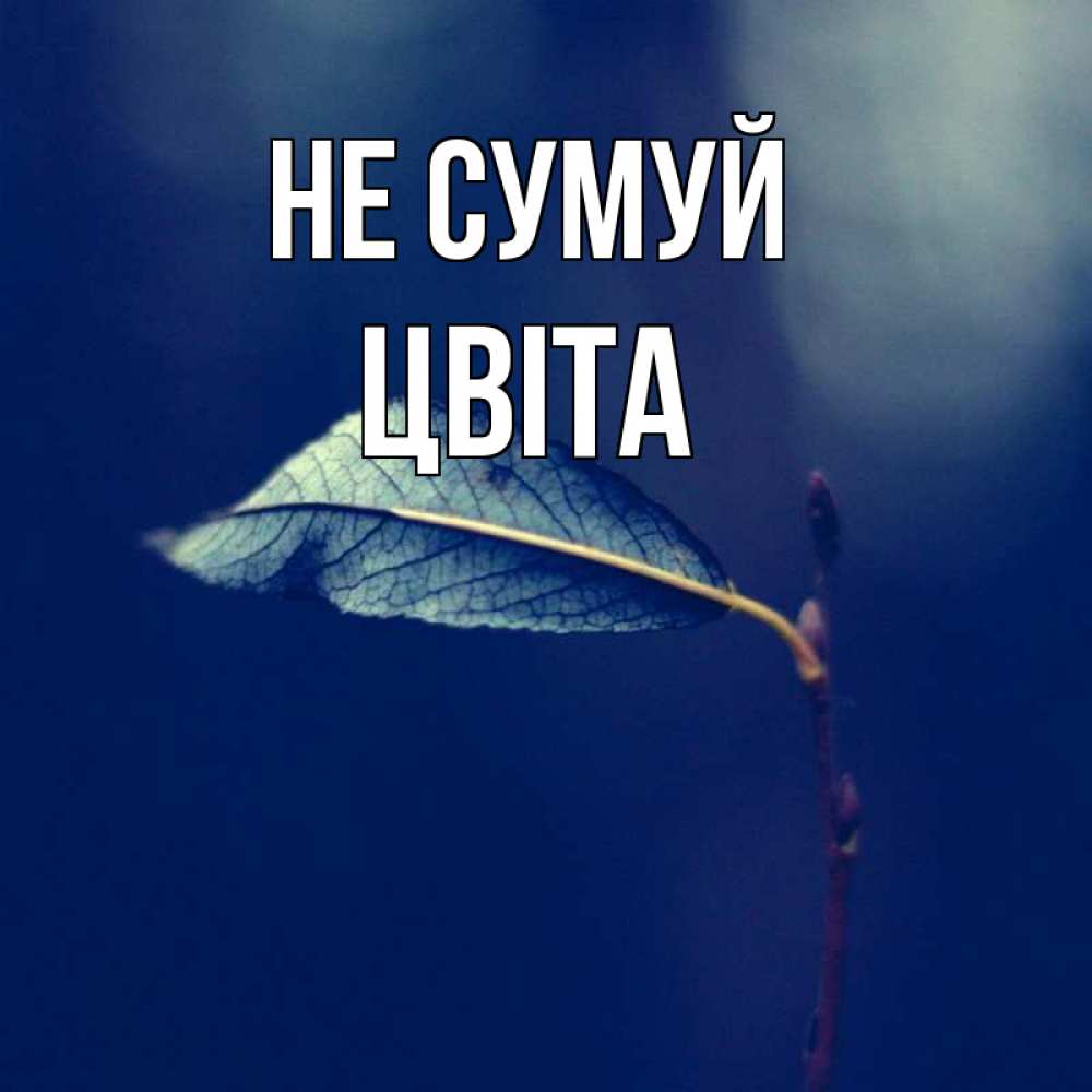 Открытка на каждый день з підписом, Цвіта Не сумуй растение Прикольна листівка з побажанням онлайн скачати безкоштовно 