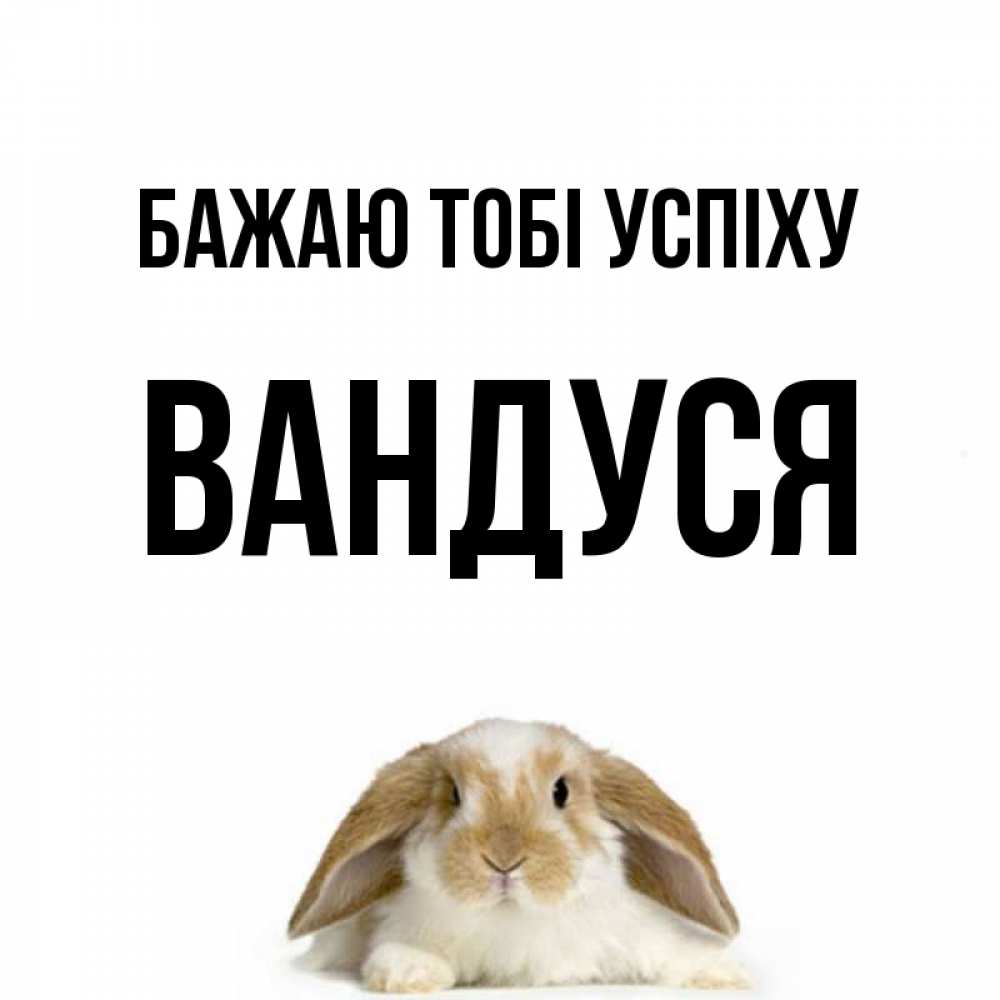 Открытка на каждый день з підписом, Вандуся Бажаю тобі успіху открытки с произвольным текстом который можно вставить в открытку и создать ее самостоятельно бесплатно онлайн Прикольна листівка з побажанням онлайн скачати безкоштовно 