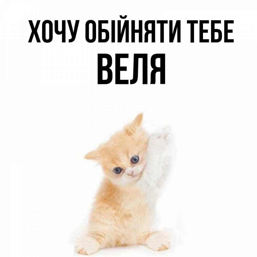 Открытка на каждый день з підписом, Веля Хочу обійняти тебе я хочу очень скорее обнимаешек Прикольна листівка з побажанням онлайн скачати безкоштовно 