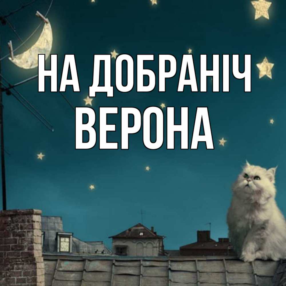 Открытка на каждый день з підписом, Верона На добраніч белый кот сидит на крыше Прикольна листівка з побажанням онлайн скачати безкоштовно 