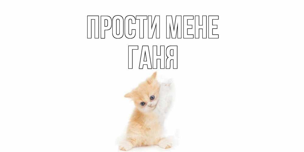 Открытка на каждый день з підписом, Ганя Прости мене кот Прикольна листівка з побажанням онлайн скачати безкоштовно 