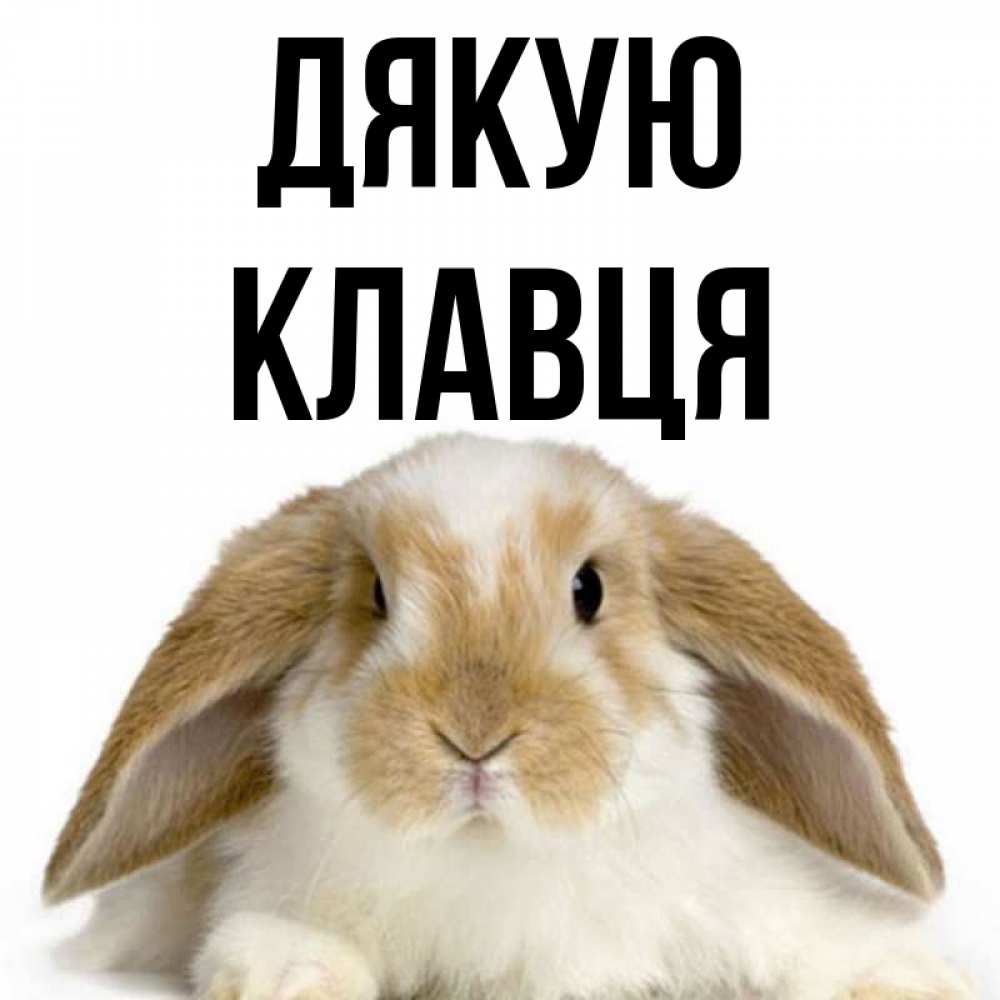 Открытка на каждый день з підписом, Клавця Дякую коричнево белый заяц Прикольна листівка з побажанням онлайн скачати безкоштовно 
