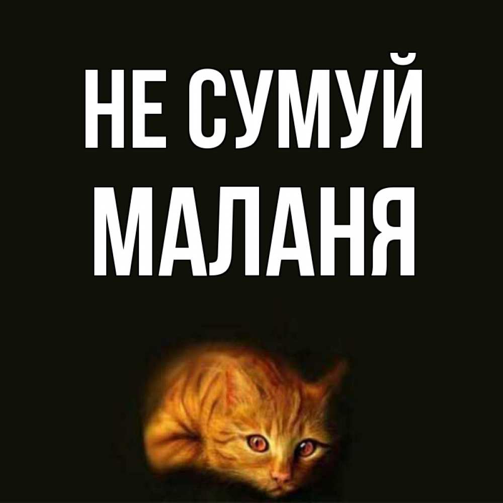 Открытка на каждый день з підписом, Маланя Не сумуй лежащий кот в темноте Прикольна листівка з побажанням онлайн скачати безкоштовно 