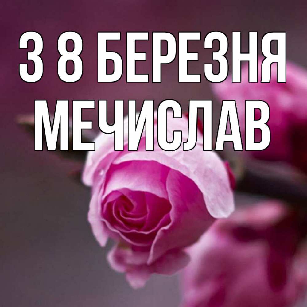 Открытка на каждый день з підписом, Мечислав З 8 БЕРЕЗНЯ весна Прикольна листівка з побажанням онлайн скачати безкоштовно 