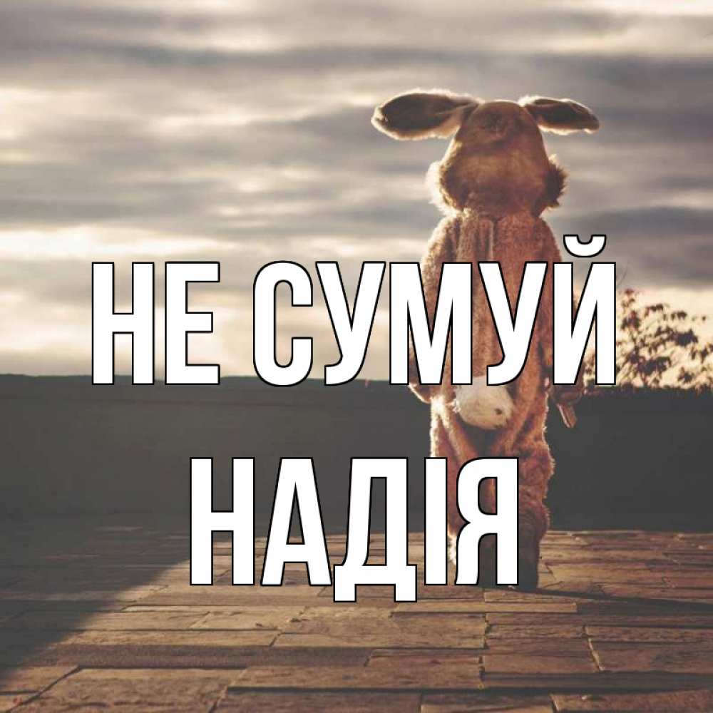 Открытка на каждый день з підписом, Надія Не сумуй со спины Прикольна листівка з побажанням онлайн скачати безкоштовно 