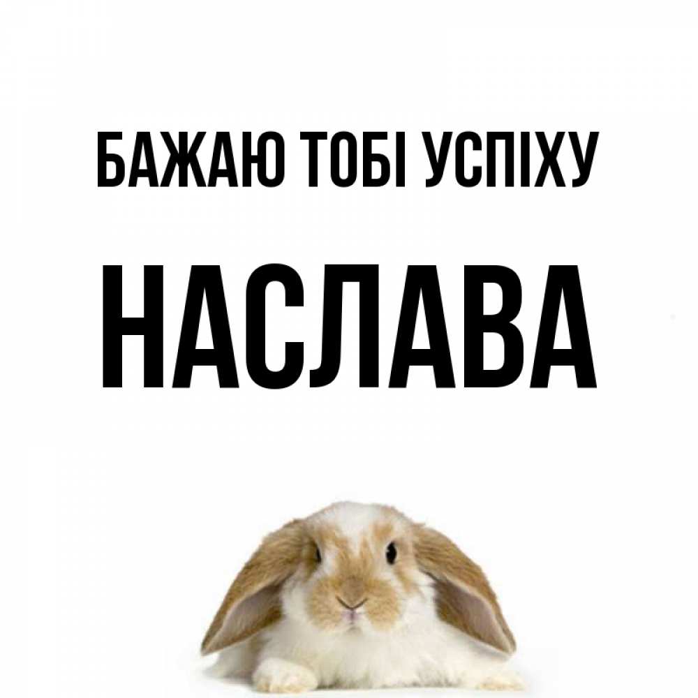 Открытка на каждый день з підписом, Наслава Бажаю тобі успіху открытки с произвольным текстом который можно вставить в открытку и создать ее самостоятельно бесплатно онлайн Прикольна листівка з побажанням онлайн скачати безкоштовно 