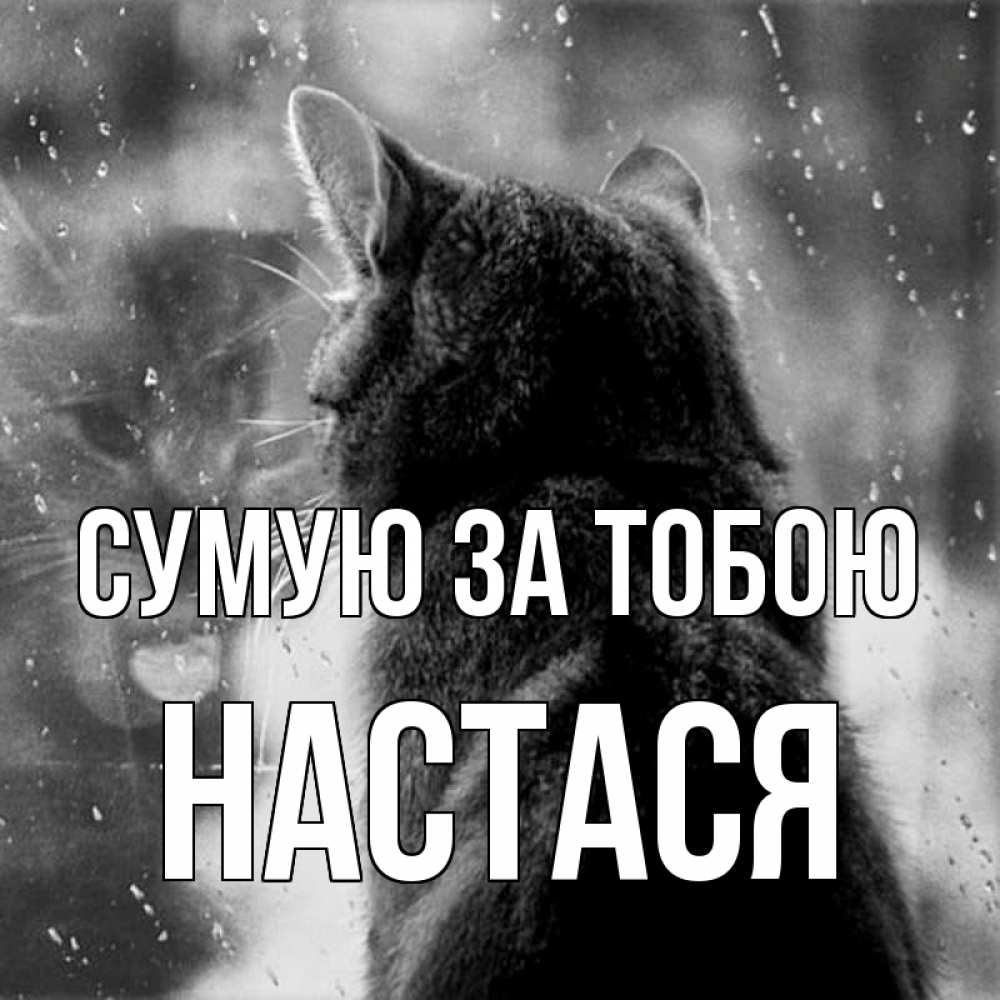 Открытка на каждый день з підписом, Настася Сумую за тобою скорее ко мне приходи 1 Прикольна листівка з побажанням онлайн скачати безкоштовно 