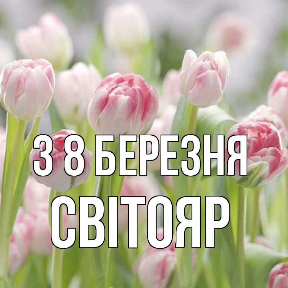 Открытка на каждый день з підписом, Світояр З 8 БЕРЕЗНЯ цветы Прикольна листівка з побажанням онлайн скачати безкоштовно 