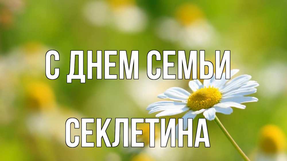 Открытка на каждый день з підписом, Секлетина С днем семьи с днем семьи  1 Прикольна листівка з побажанням онлайн скачати безкоштовно 