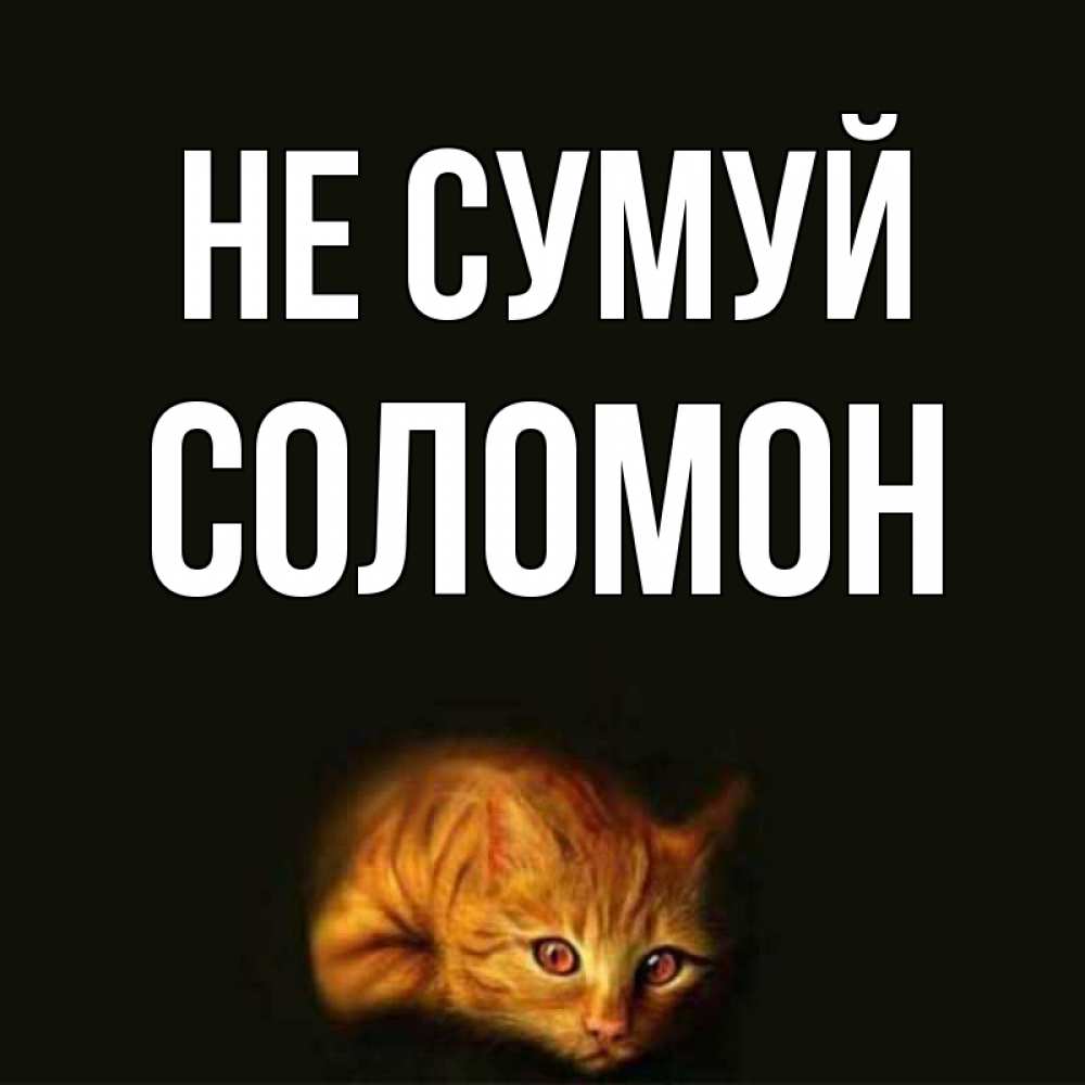 Открытка на каждый день з підписом, Соломон Не сумуй лежащий кот в темноте Прикольна листівка з побажанням онлайн скачати безкоштовно 