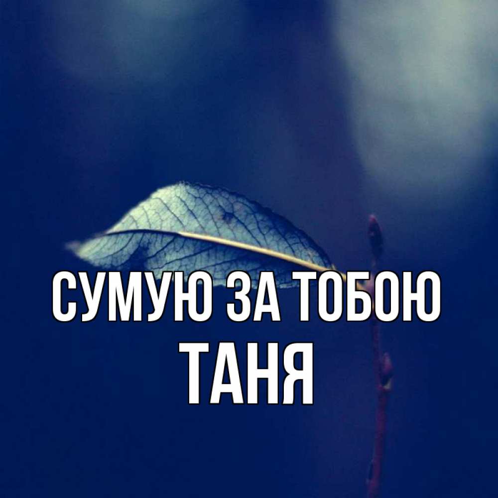 Открытка на каждый день з підписом, Таня Сумую за тобою одна ветка 1 Прикольна листівка з побажанням онлайн скачати безкоштовно 