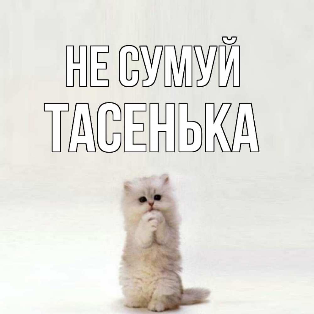 Открытка на каждый день з підписом, Тасенька Не сумуй грустный кот Прикольна листівка з побажанням онлайн скачати безкоштовно 