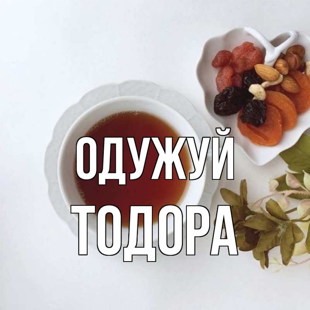 Открытка на каждый день з підписом, Тодора Одужуй неизвестные растения Прикольна листівка з побажанням онлайн скачати безкоштовно 