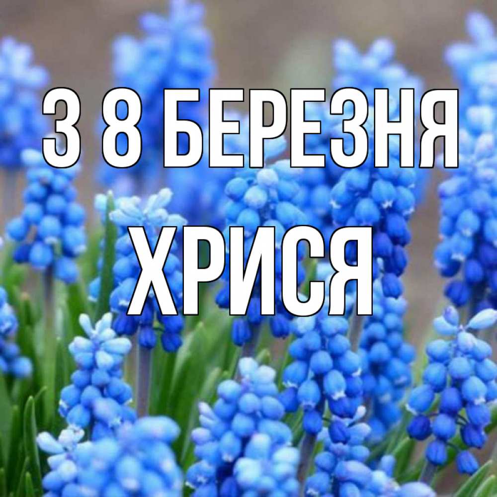 Открытка на каждый день з підписом, Хрися З 8 БЕРЕЗНЯ Поздравительная открытка для женщин с цветами на праздничную дату Прикольна листівка з побажанням онлайн скачати безкоштовно 