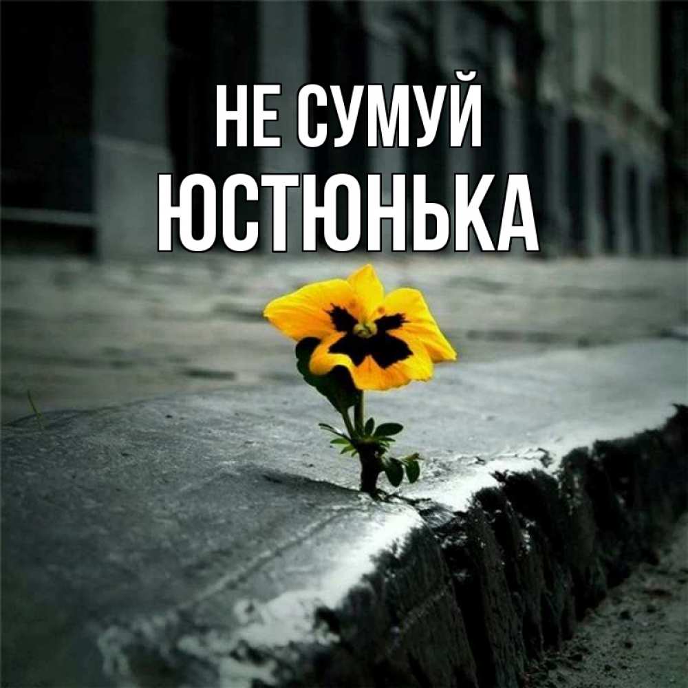 Открытка на каждый день з підписом, Юстюнька Не сумуй не сдавайся Прикольна листівка з побажанням онлайн скачати безкоштовно 