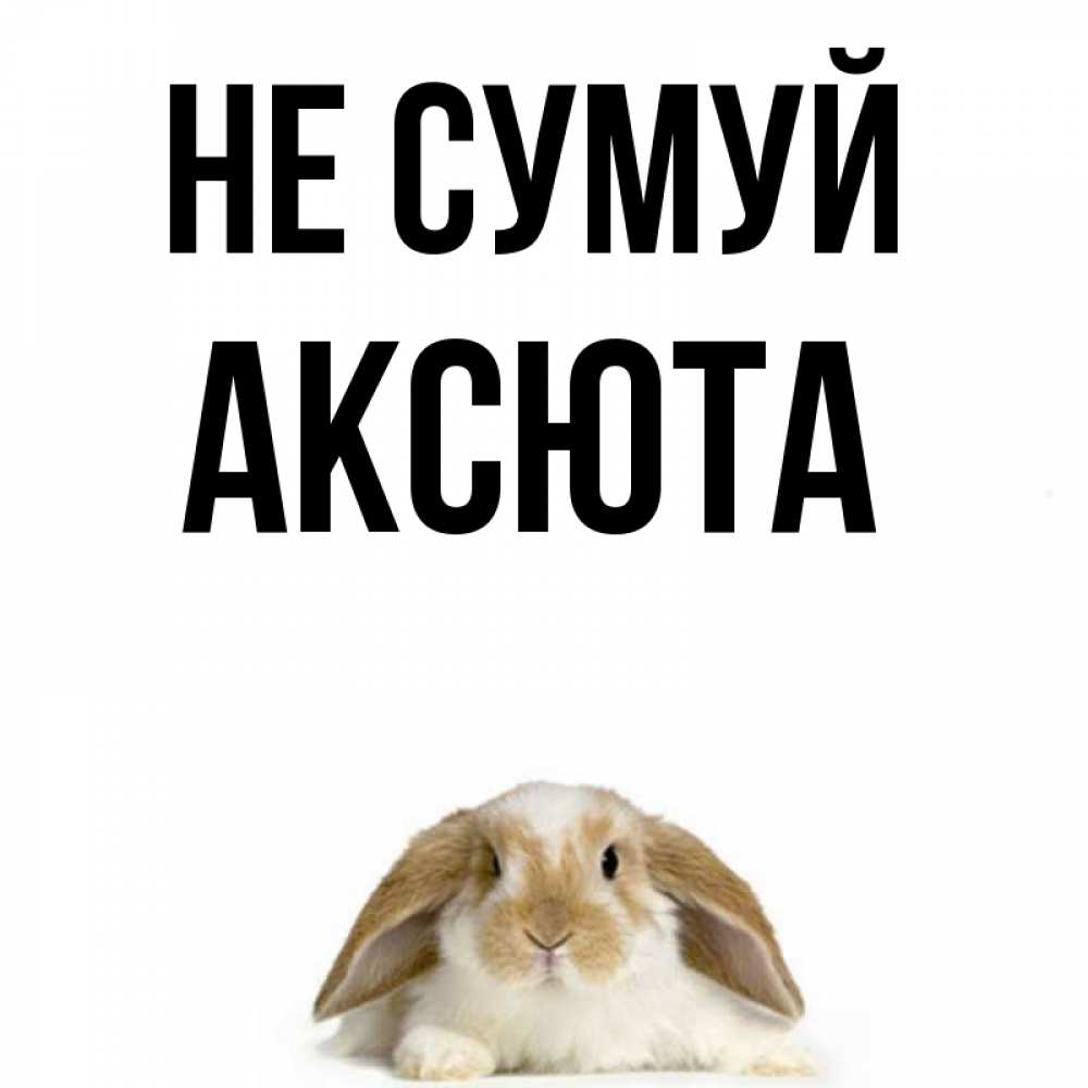 Открытка на каждый день з підписом, Аксюта Не сумуй коричнево белый заяц с большими ушками Прикольна листівка з побажанням онлайн скачати безкоштовно 