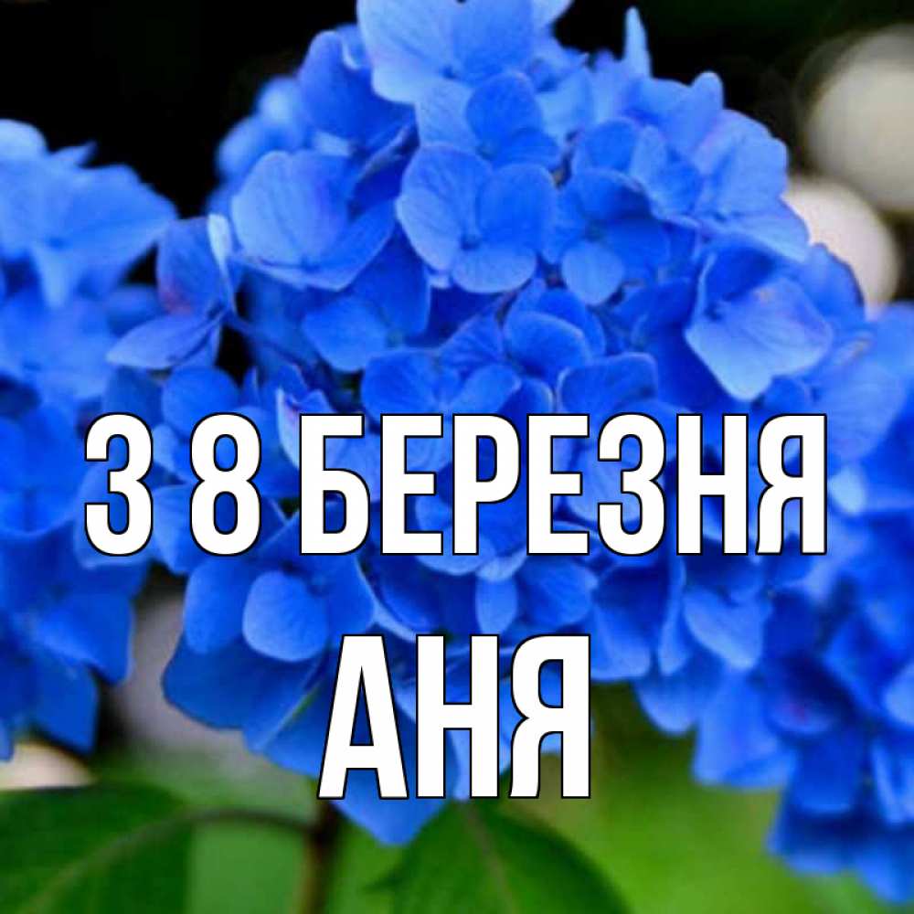 Открытка на каждый день з підписом, Аня З 8 БЕРЕЗНЯ синие цветы Прикольна листівка з побажанням онлайн скачати безкоштовно 