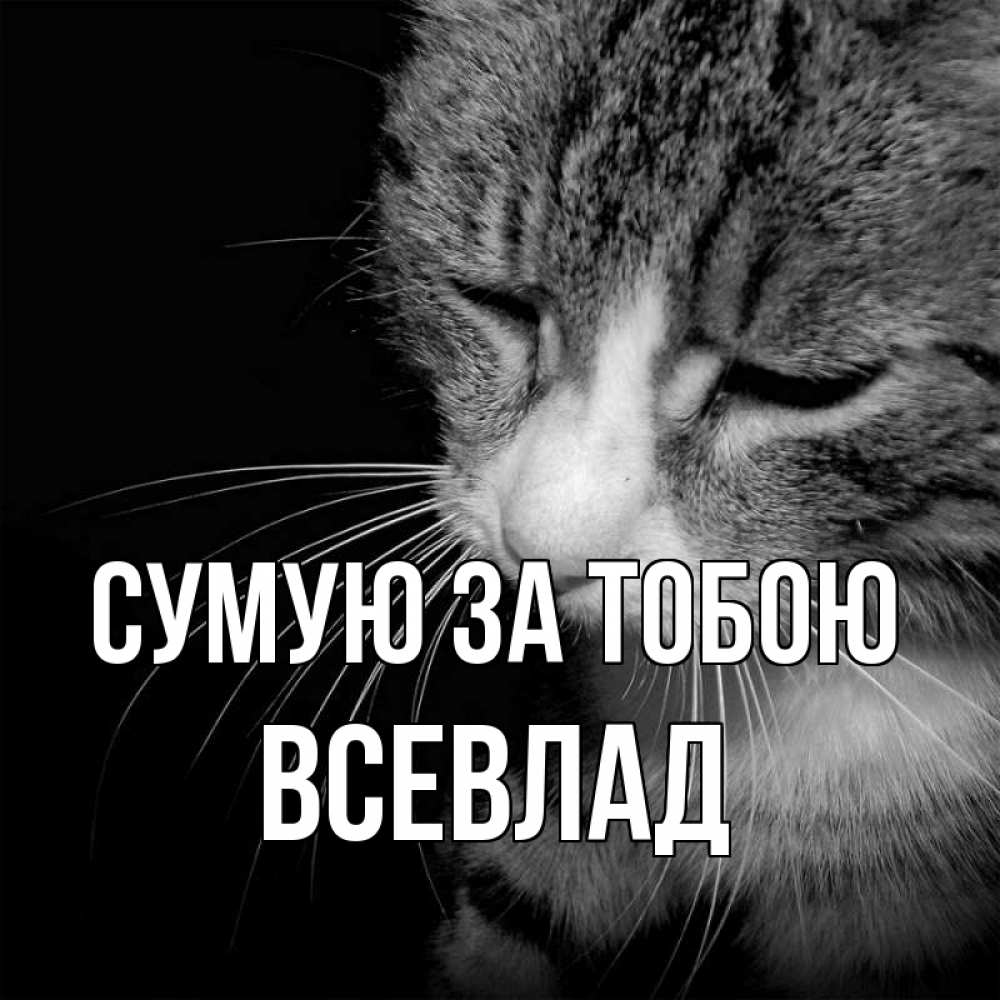 Открытка на каждый день з підписом, Всевлад Сумую за тобою мне скучно Прикольна листівка з побажанням онлайн скачати безкоштовно 