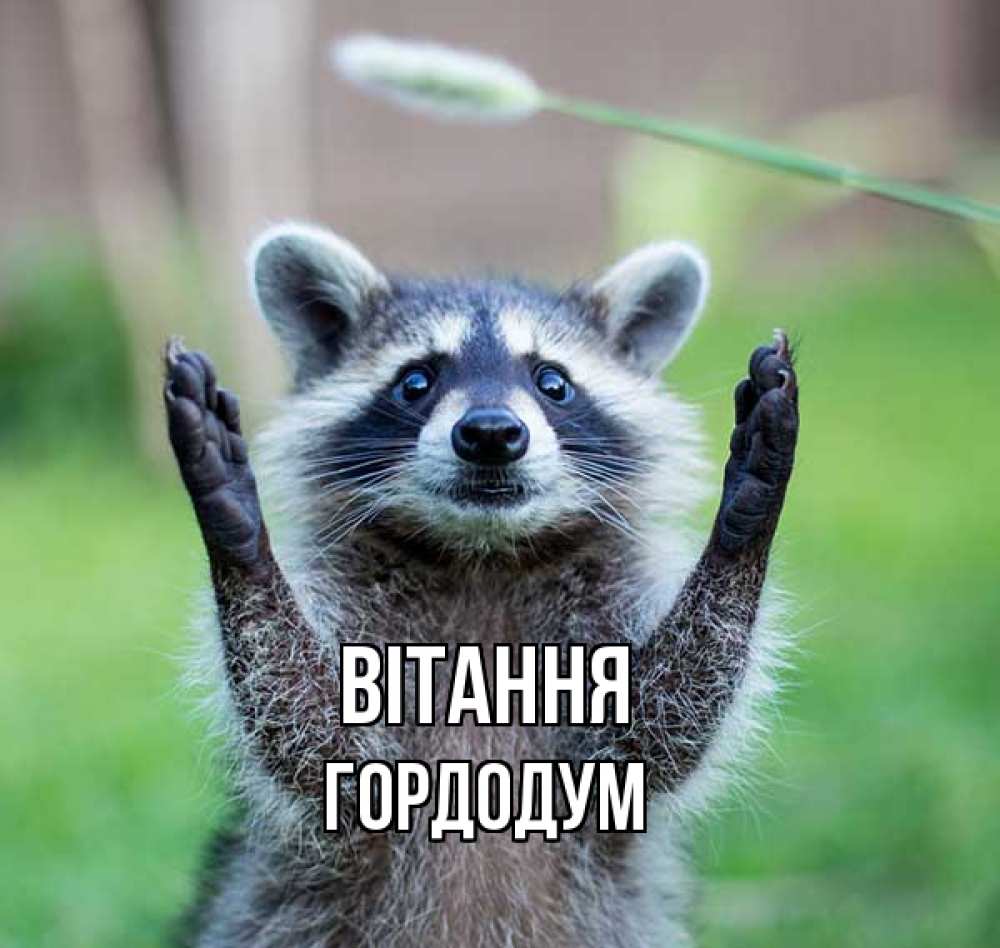 Открытка на каждый день з підписом, Гордодум Вітання животные Прикольна листівка з побажанням онлайн скачати безкоштовно 