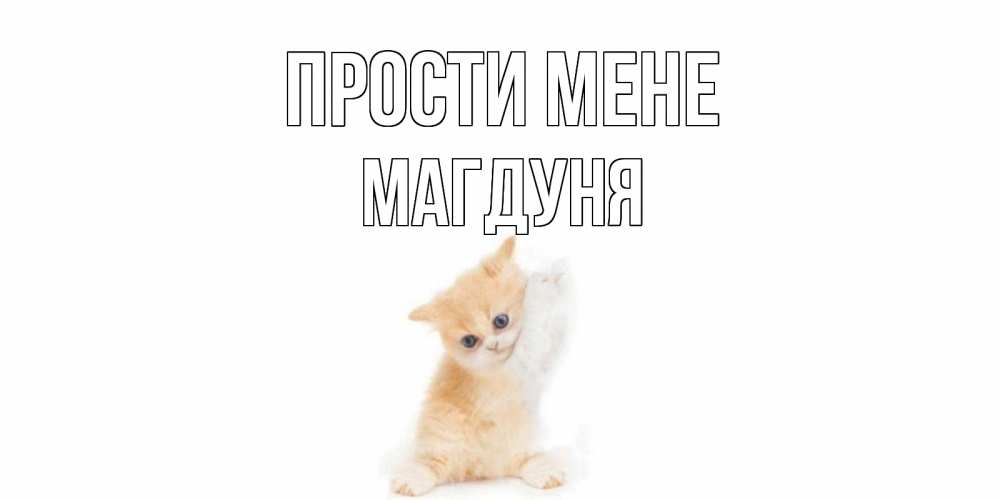 Открытка на каждый день з підписом, Магдуня Прости мене кот Прикольна листівка з побажанням онлайн скачати безкоштовно 