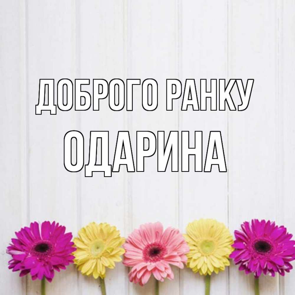 Открытка на каждый день з підписом, Одарина Доброго ранку красный желтый и розовый цветок Прикольна листівка з побажанням онлайн скачати безкоштовно 