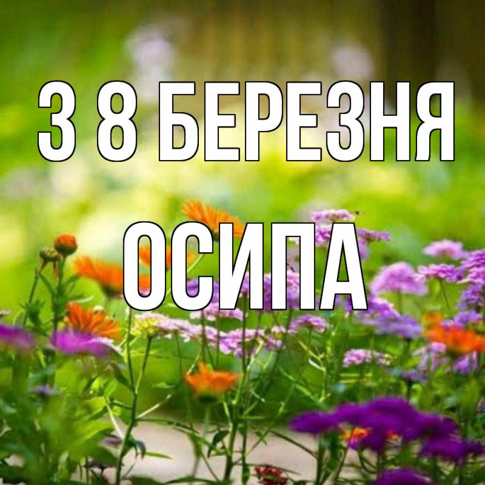 Открытка на каждый день з підписом, Осипа З 8 БЕРЕЗНЯ цветы Прикольна листівка з побажанням онлайн скачати безкоштовно 