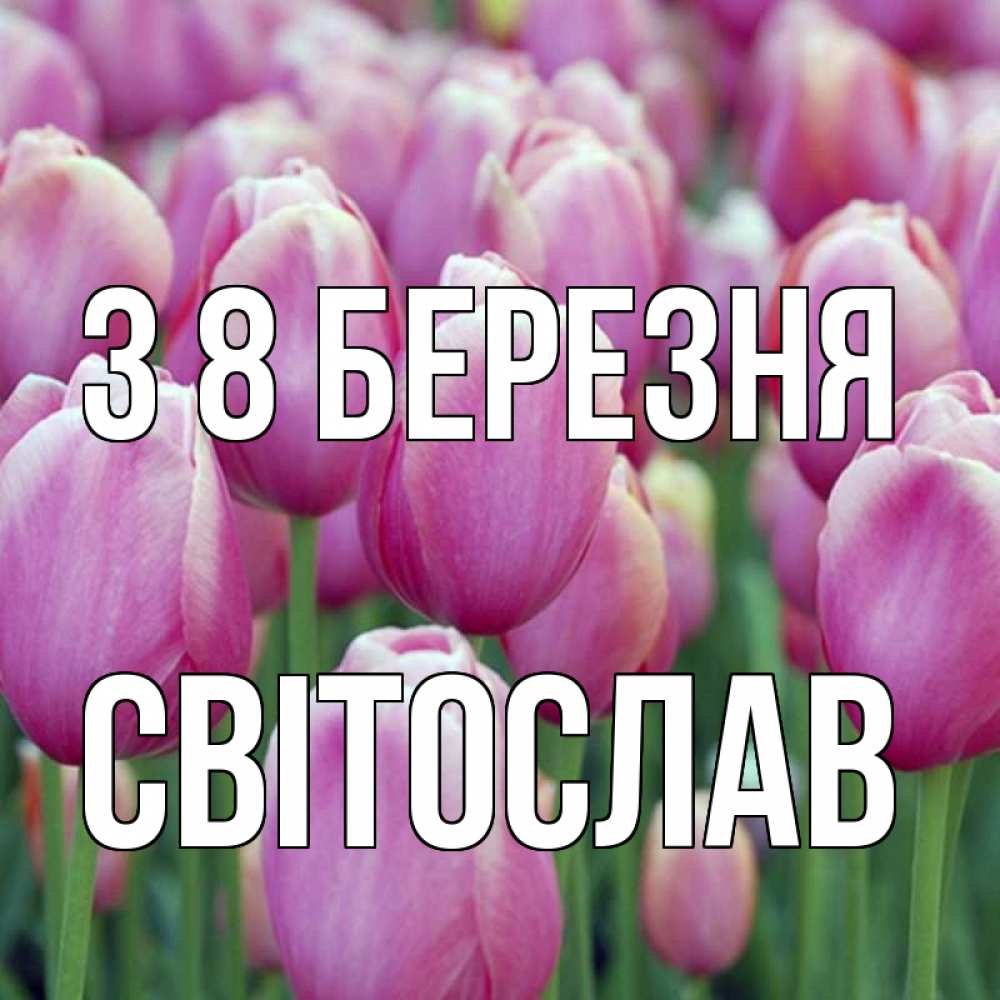 Открытка на каждый день з підписом, Світослав З 8 БЕРЕЗНЯ на международный женский день 3 Прикольна листівка з побажанням онлайн скачати безкоштовно 