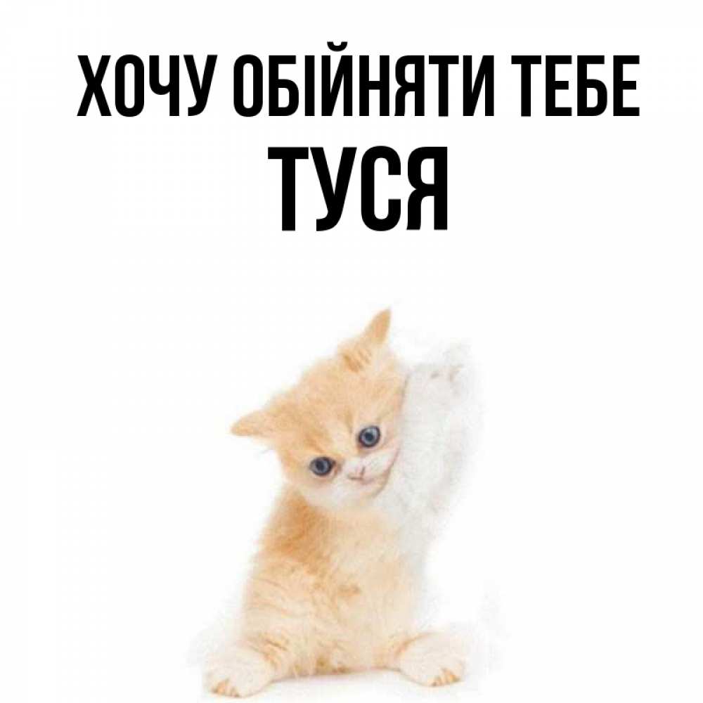 Открытка на каждый день з підписом, Туся Хочу обійняти тебе я хочу очень скорее обнимаешек Прикольна листівка з побажанням онлайн скачати безкоштовно 