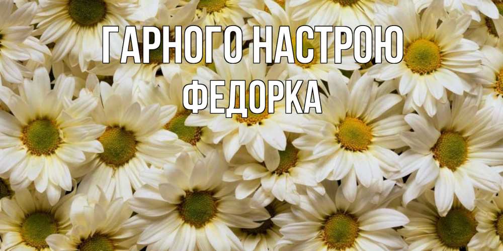 Открытка на каждый день з підписом, Федорка Гарного настрою крупные ромашки Прикольна листівка з побажанням онлайн скачати безкоштовно 