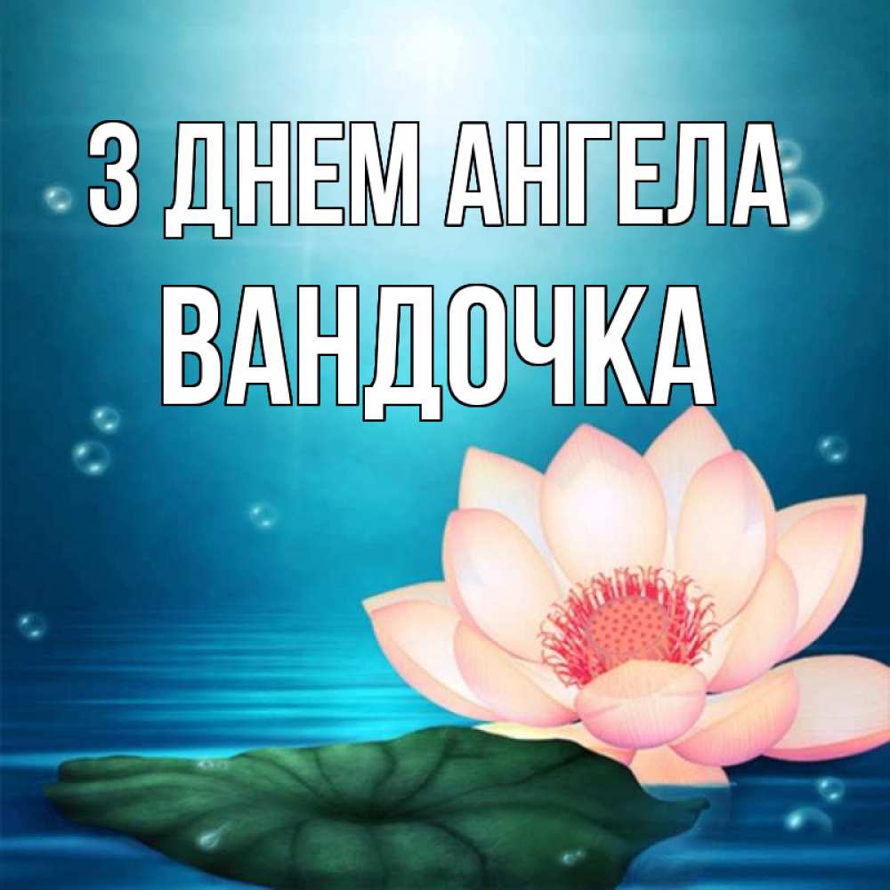Открытка на каждый день з підписом, Вандочка З Днем ангела кувшинка Прикольна листівка з побажанням онлайн скачати безкоштовно 