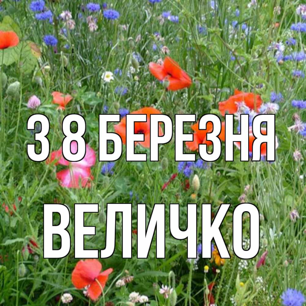 Открытка на каждый день з підписом, Величко З 8 БЕРЕЗНЯ международный женский день 4 Прикольна листівка з побажанням онлайн скачати безкоштовно 