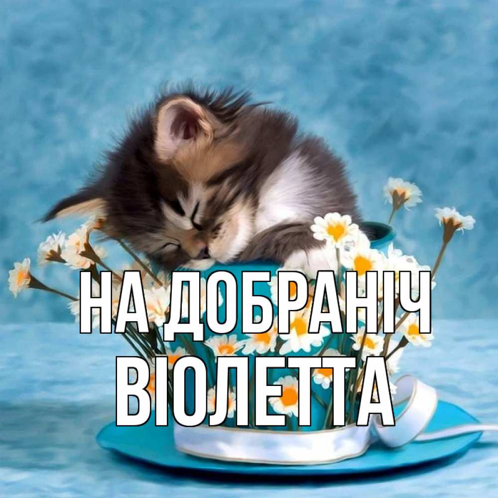 Открытка на каждый день з підписом, Віолетта На добраніч котенок спит в кружке с блюдцем Прикольна листівка з побажанням онлайн скачати безкоштовно 
