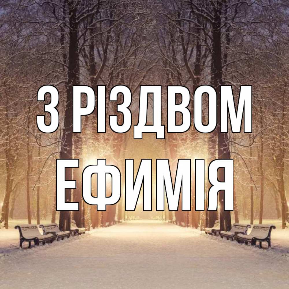 Открытка на каждый день з підписом, Ефимія З Різдвом зима, парк, фонарь, лес Прикольна листівка з побажанням онлайн скачати безкоштовно 