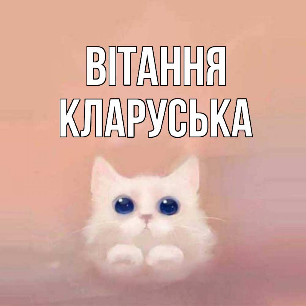 Открытка на каждый день з підписом, Кларуська Вітання котик белый в полете Прикольна листівка з побажанням онлайн скачати безкоштовно 