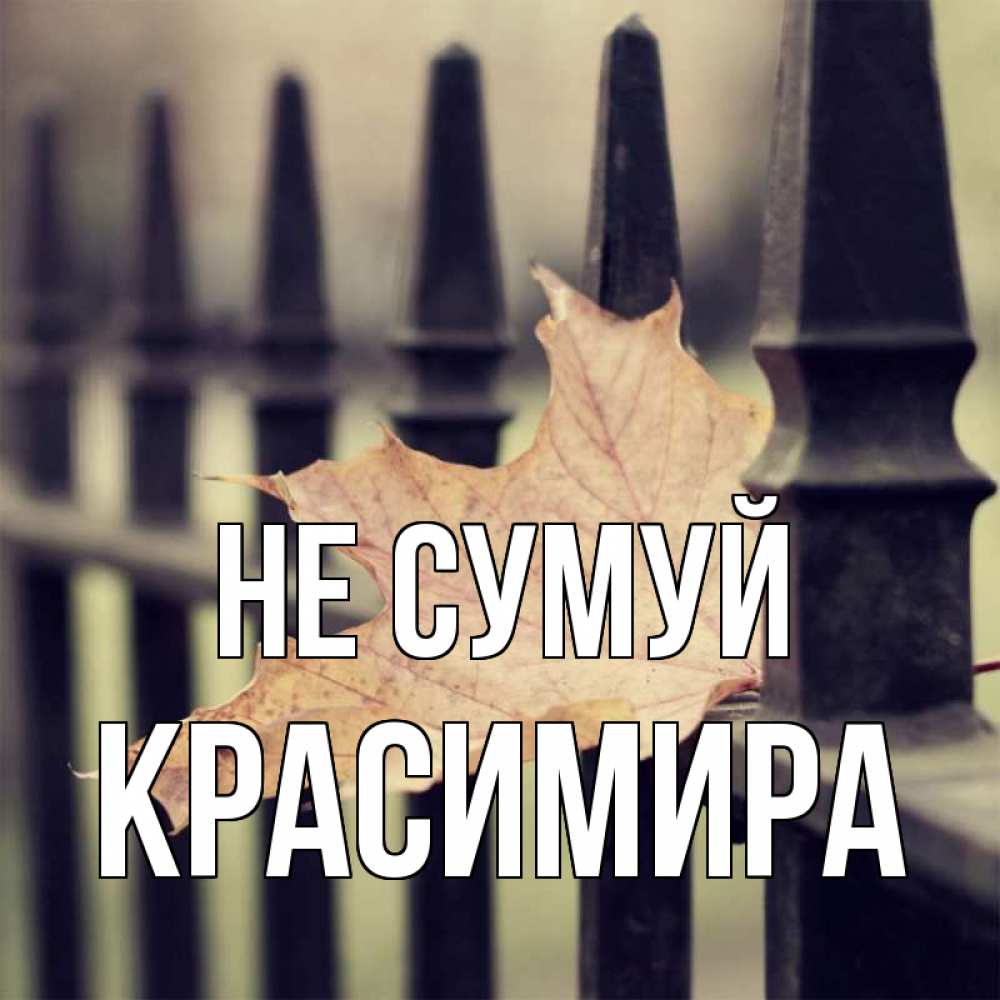 Открытка на каждый день з підписом, Красимира Не сумуй лист клена Прикольна листівка з побажанням онлайн скачати безкоштовно 