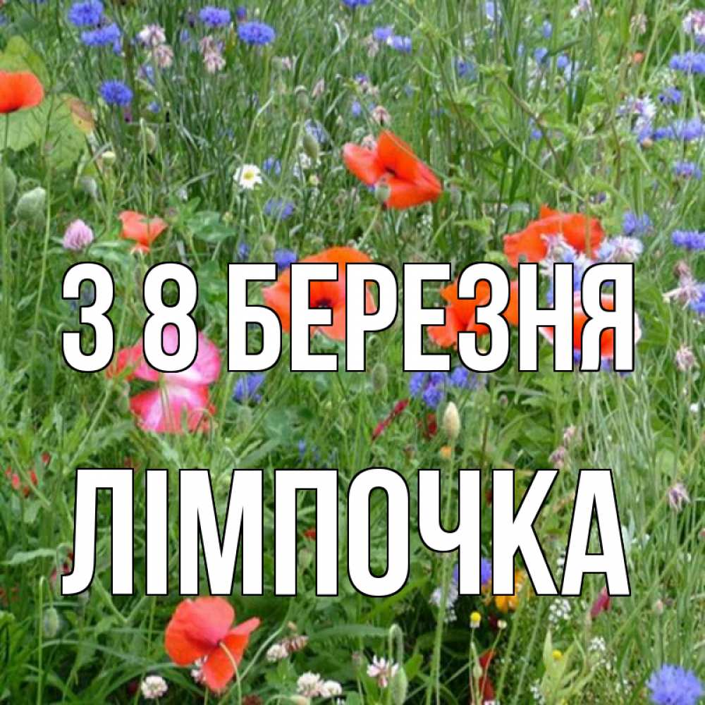 Открытка на каждый день з підписом, Лімпочка З 8 БЕРЕЗНЯ международный женский день 4 Прикольна листівка з побажанням онлайн скачати безкоштовно 