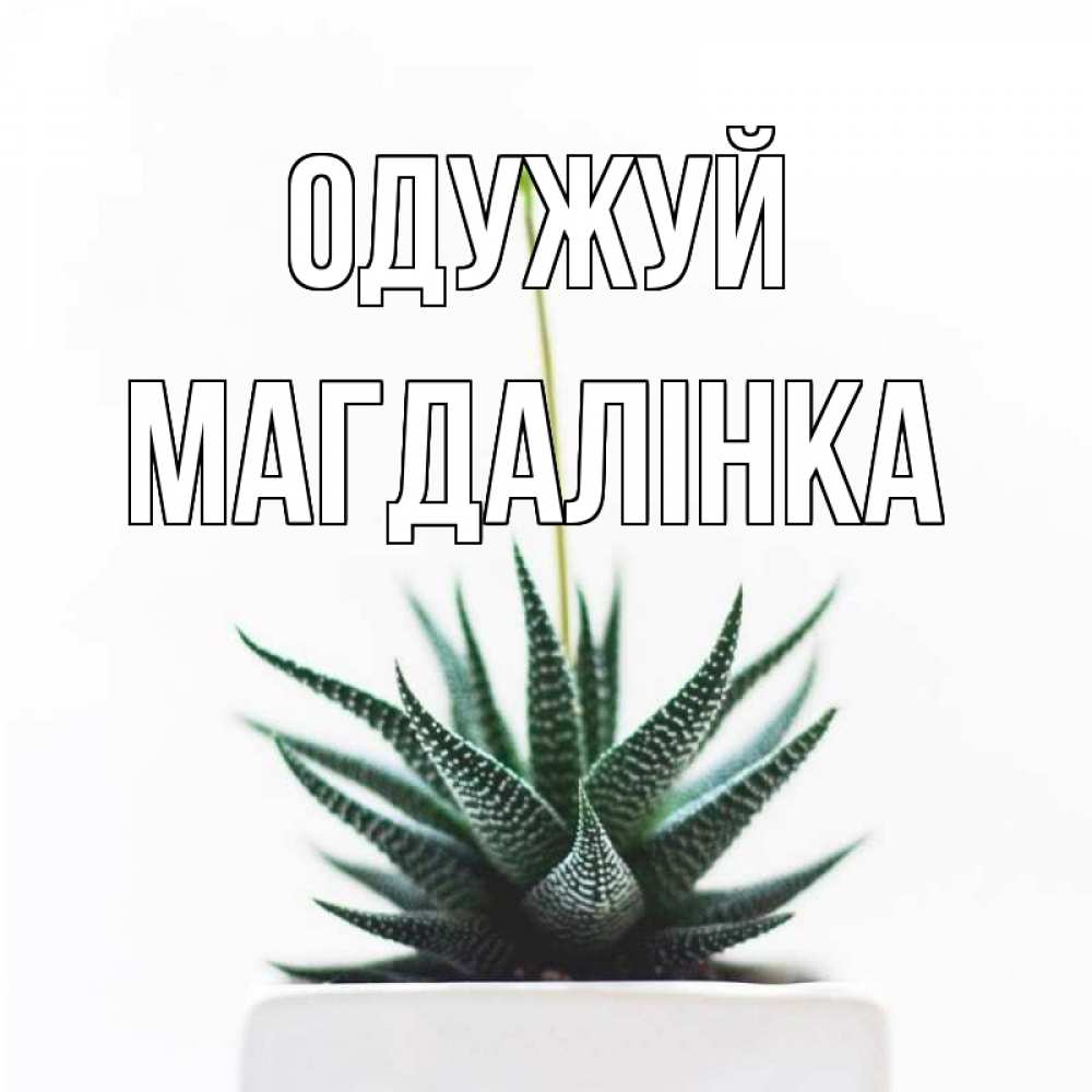 Открытка на каждый день з підписом, Магдалінка Одужуй короче это непонятная колючка Прикольна листівка з побажанням онлайн скачати безкоштовно 