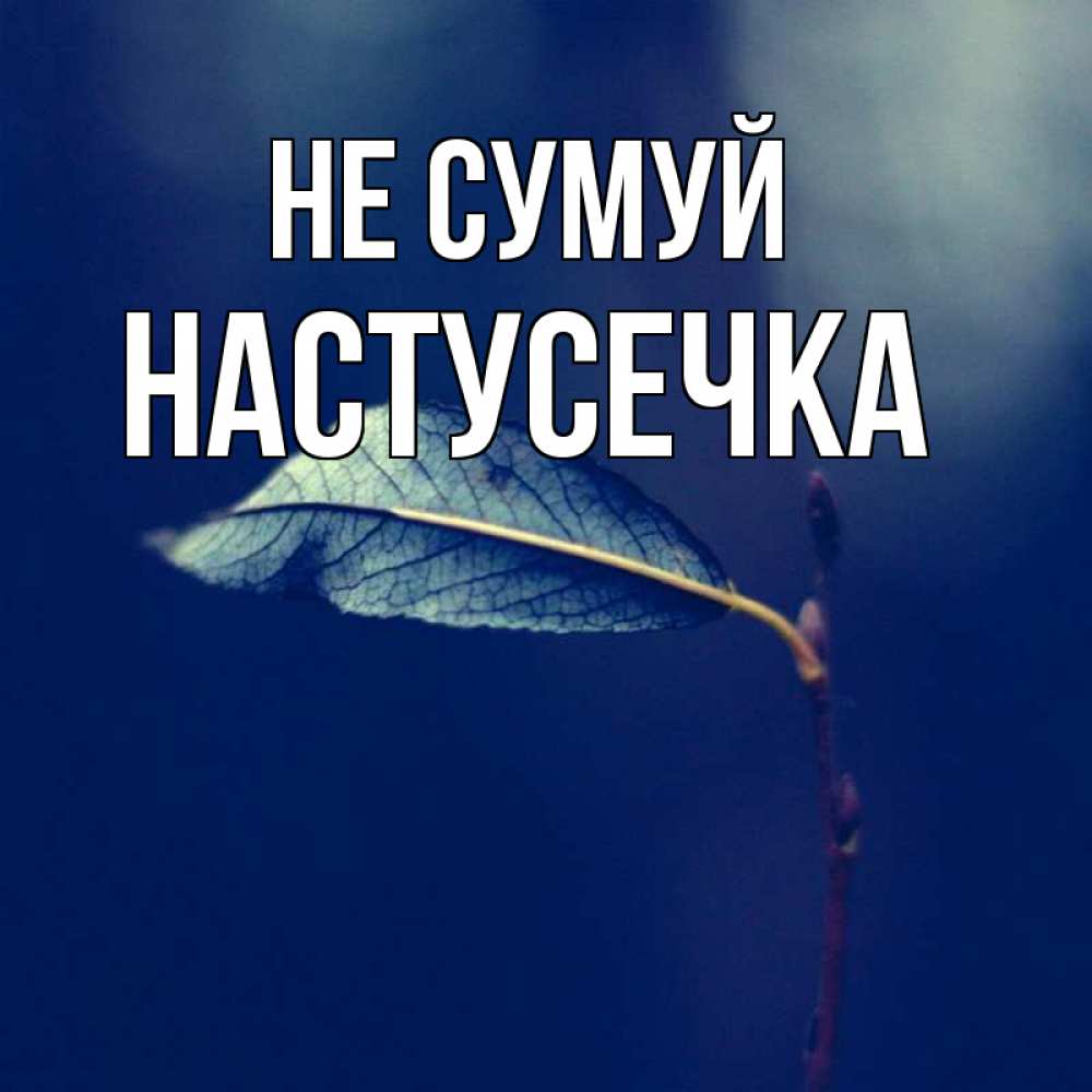 Открытка на каждый день з підписом, Настусечка Не сумуй растение Прикольна листівка з побажанням онлайн скачати безкоштовно 