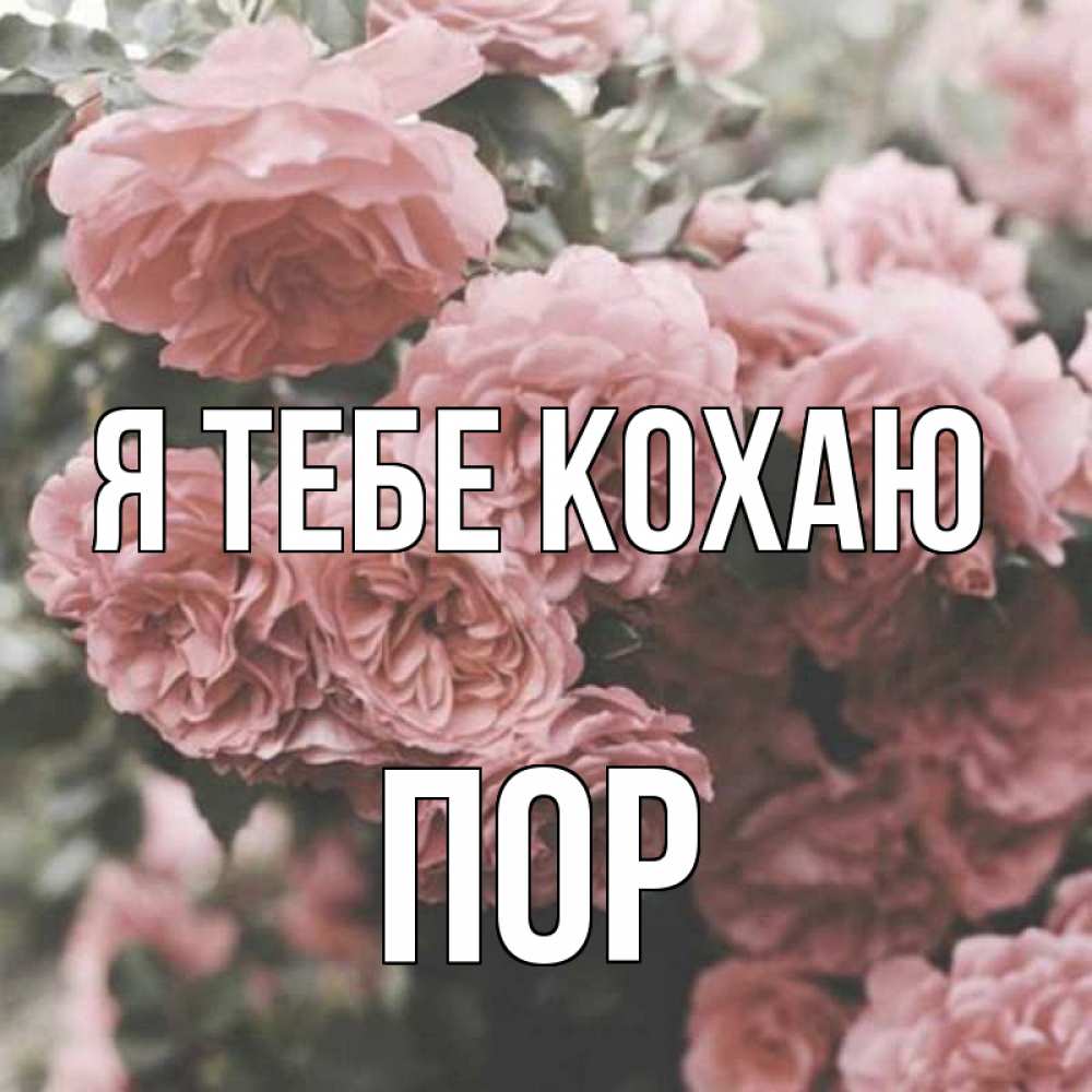 Открытка на каждый день з підписом, Пор Я тебе кохаю розы 3 Прикольна листівка з побажанням онлайн скачати безкоштовно 