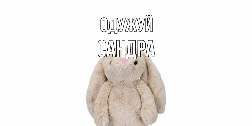 Открытка на каждый день з підписом, Сандра Одужуй не болей Прикольна листівка з побажанням онлайн скачати безкоштовно 