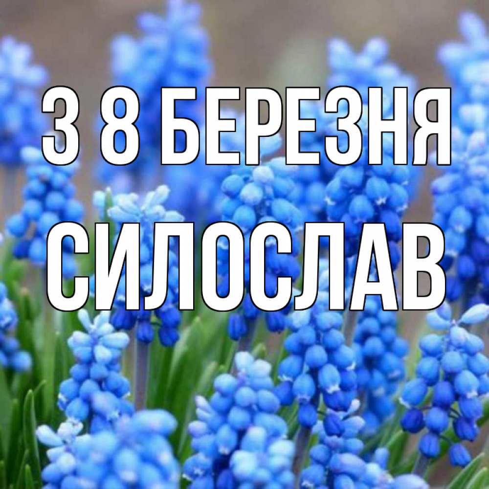 Открытка на каждый день з підписом, Силослав З 8 БЕРЕЗНЯ Поздравительная открытка для женщин с цветами на праздничную дату Прикольна листівка з побажанням онлайн скачати безкоштовно 
